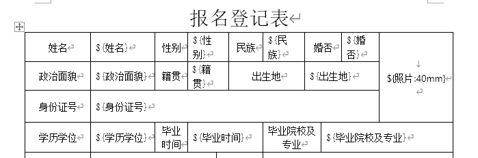 数据源变量粘贴