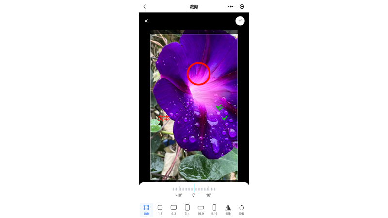图片标注控件-裁剪